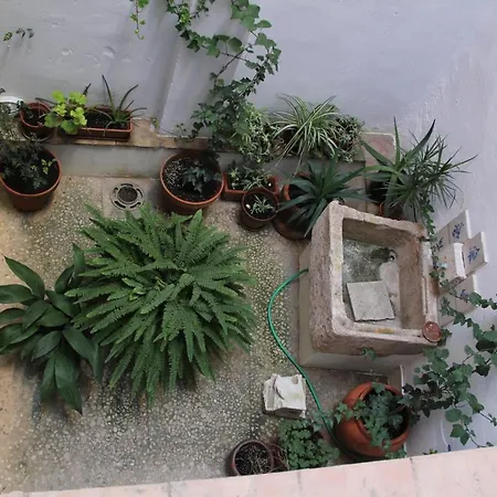 Coles Apartasuites 사티바